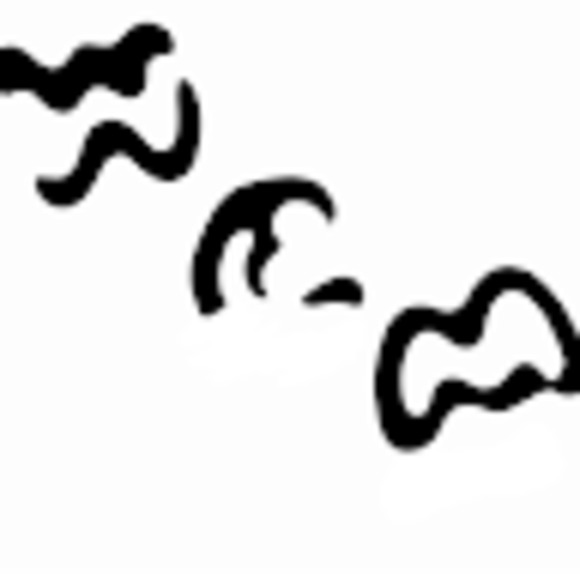 Meet your Posher, Jeremy - Picture 1 of 1